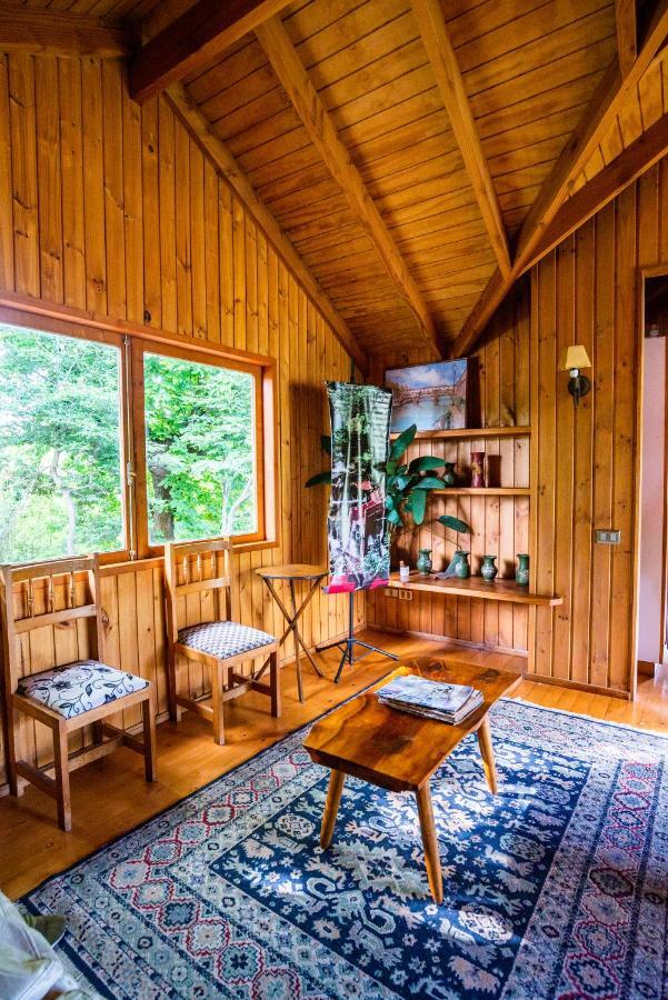 Hosteria Tricahue Пукон Экстерьер фото